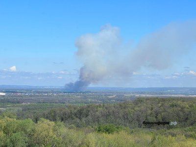 В поле под Уфой загорелась сухая трава