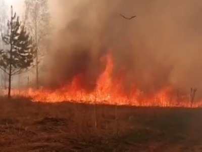 В Краснокамском районе Башкирии горит сухая трава на площади в 10 га