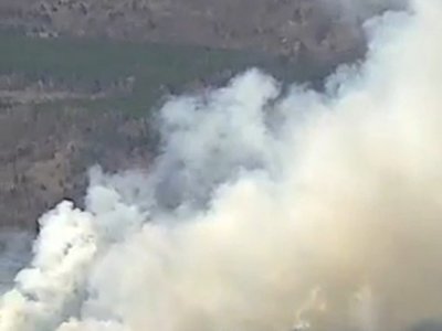 В Учалинском районе Башкирии вторые сутки тушат лесные пожары