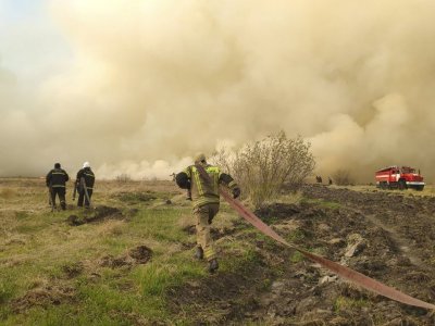 С начала пожароопасного сезона-2023 в Башкирии сгорели 857 га леса