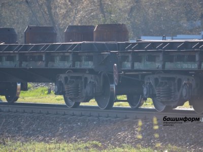 В Башкирии лоси угодили под грузовые поезда