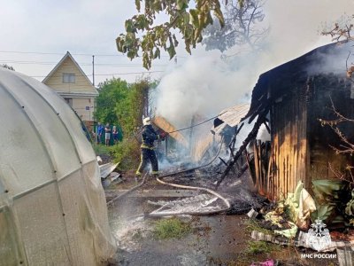 В садовом товариществе под Уфой в пожаре погибли две женщины