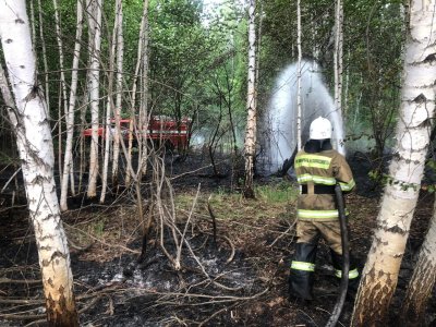 В Калтасинском районе продолжается тушение лесного пожара