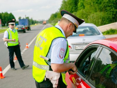 За противмоскитную сетку теперь будут штрафовать