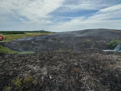Жителей Башкирии напугал столб дыма возле охраняемой природной территории: загорелась трава в поле