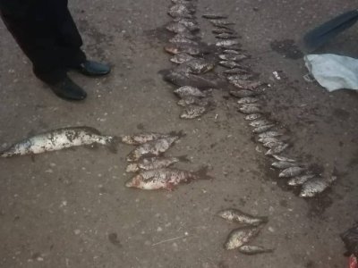 Сотрудники ГИБДД Башкирии задержали браконьеров