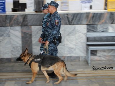 В Уфе за неделю в экстренные службы поступило три сообщения о минировании зданий