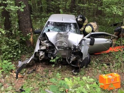 В Башкирии водитель впал в кому после наезда на дерево