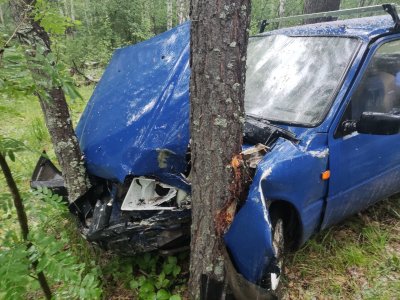 В Башкирии «ИЖ» врезался в дерево