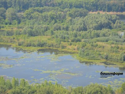 В Башкирии водолазы достали из воды тела двух мужчин