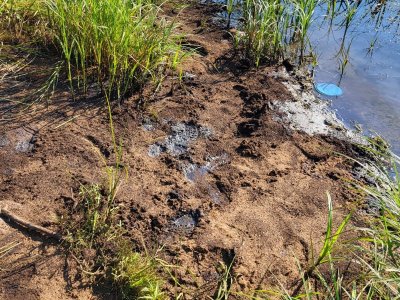 В минэкологии Башкирии сообщили подробности загрязнения реки Белой в Уфе нефтепродуктами