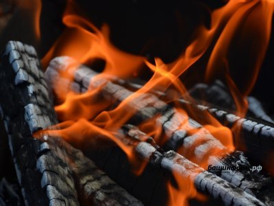 Первый лесной пожар потушили в Башкирии