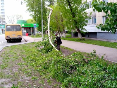 В Уфе рухнувшие из-за шквалистого ветра деревья повредили пять машин