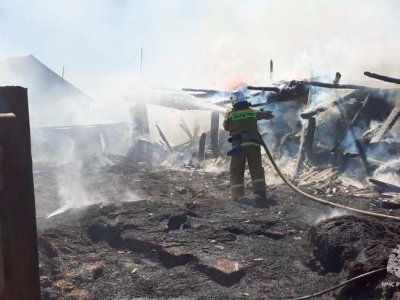 В Иглинском районе Башкирии в огне сгорели 40 кур