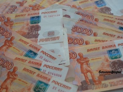 В Уфе директор фирмы уклонился от уплаты свыше 55 млн рублей налогов
